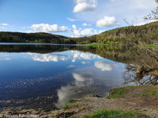 Landskapsbilde med vann og skog. Fotograf: Norunn Edvardsen