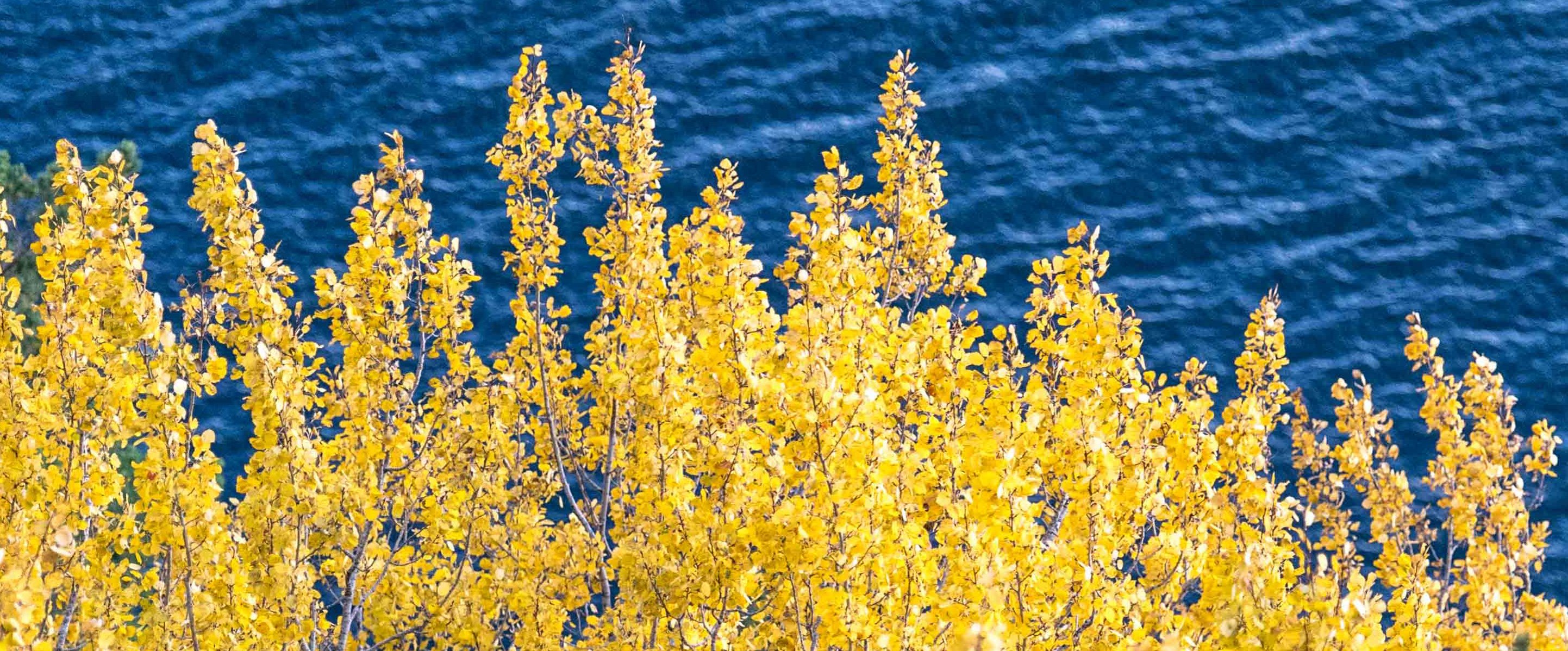 Toppbilde for Storfjorden kyrkjelege fellesråd